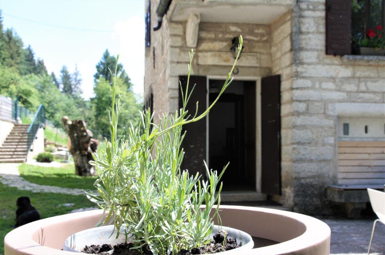 אלה Giulio Mountain B&B מראה חיצוני תמונה
